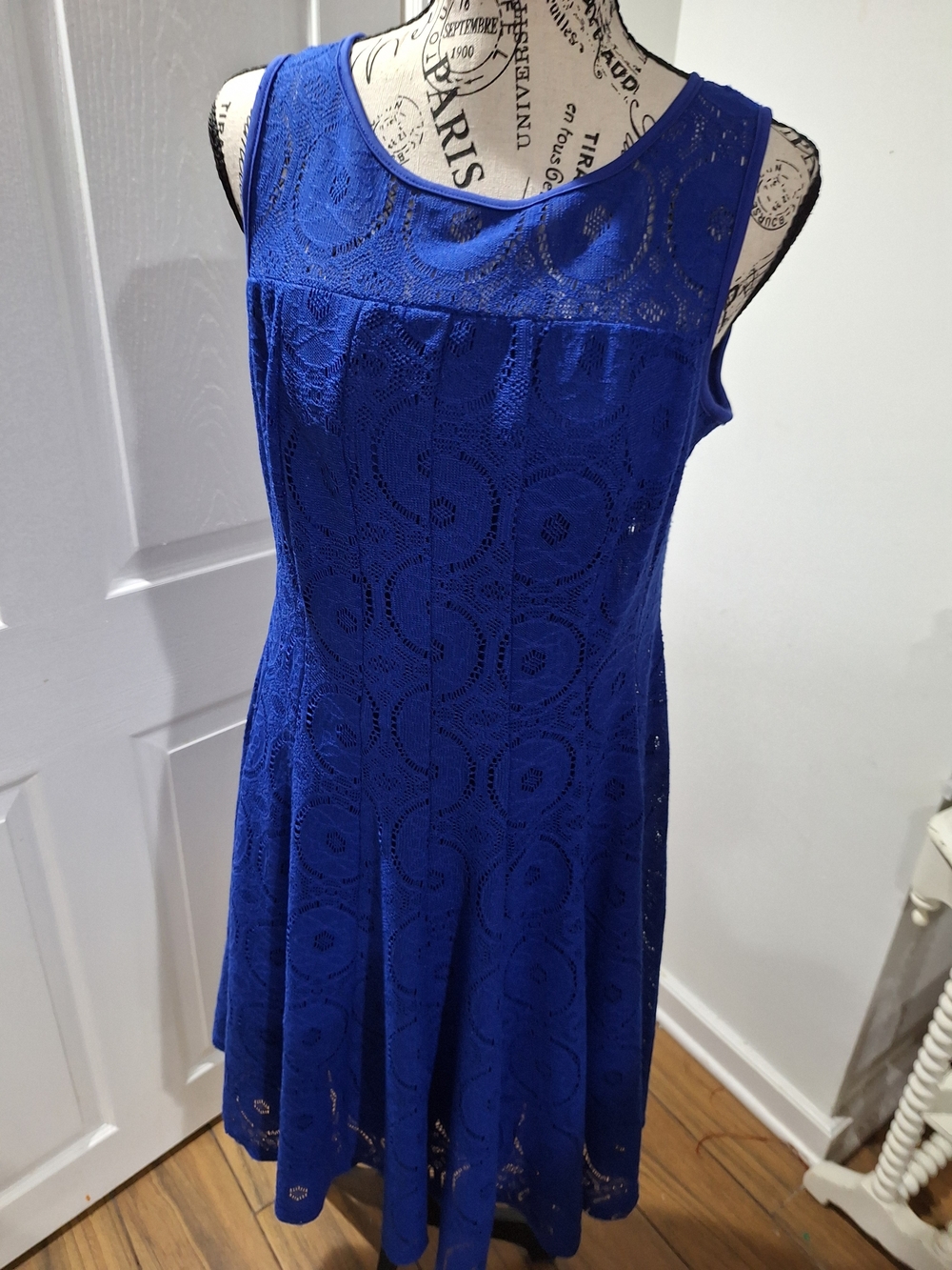 Rabbit Rabbit Rabbit Royal Blue Lace Fit-and-Flare Dress